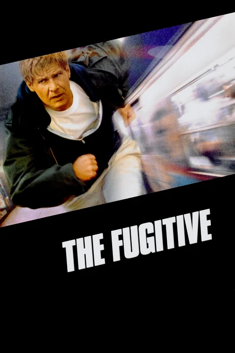 The Fugitive / Ścigany 1993