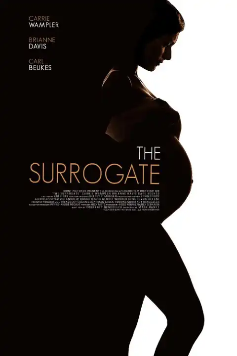 The Surrogate / The Secret Life of a Celebrity Surrogate / Surogatka Gwiazd 2020
